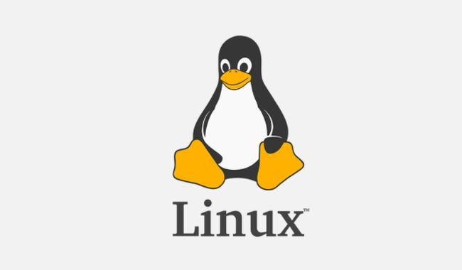[Linux]如何优雅地用aria2软件批量下载OneDrive分享文件